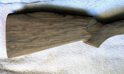 IMG_20200409_151221798.jpg