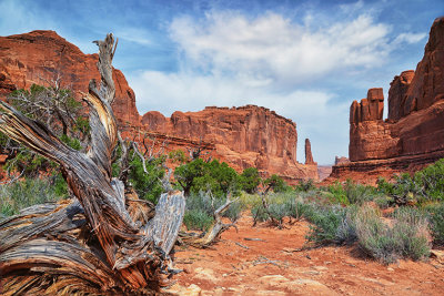G_Arches National Park_Norm James.Print.jpg