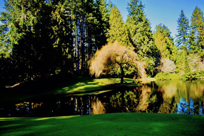 G_Bloedel Reserve_Lidija Gregov.print.jpg