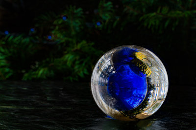 M_Blue Christmas_Dorothy Rosenbladt.jpg
