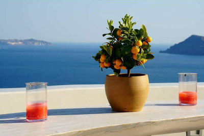 M_Oia Santorini Still Life_Herzog_.JPG