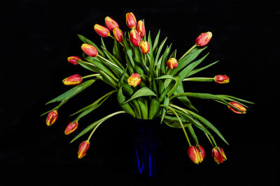 M_Springtime_Diane Hutchings.jpg