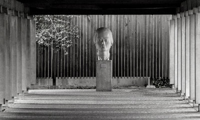 M_UBC Asiatic Head_Glen Wyatt.jpg