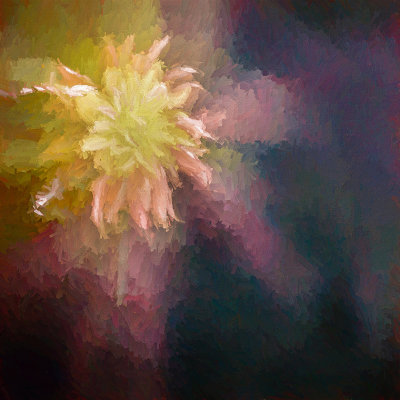 R_flower_Wagoner.jpg