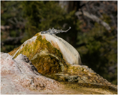 M_Orange_Spring_Mound_Geyser_WyattG.jpg