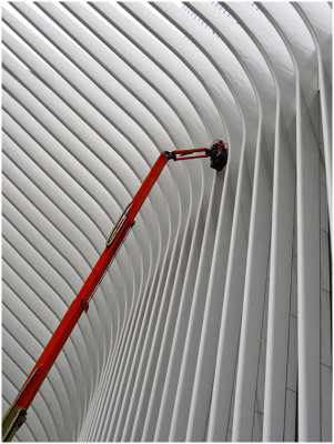 G_Washing_the_Oculus_JohnstonS.jpg