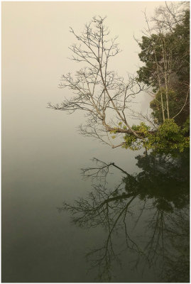 G_Winter_Reflection_Chizuko_Farley.jpg