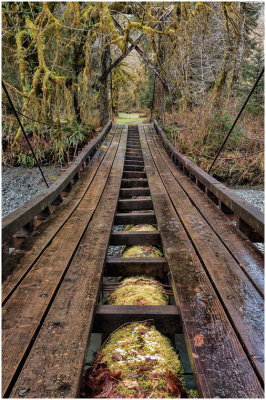 M_Quinault_Bridge_DeArman_S.jpg