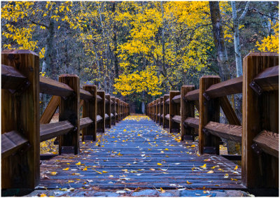 M_YosemiteFootBridge_ChuckEklund.jpg