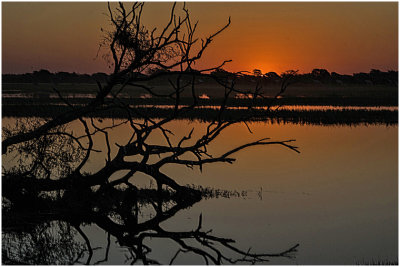 M_African_Sunset_Tom_Hansen.jpg