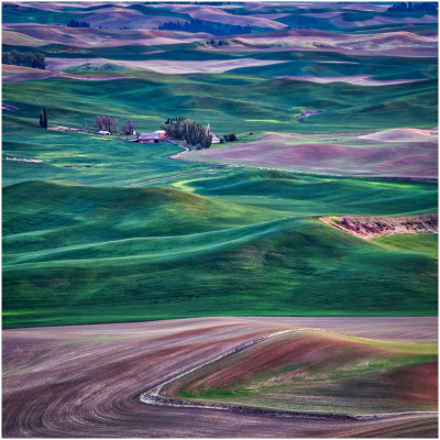 M_Palouse_At_Dusk_ChuckEklund.jpg