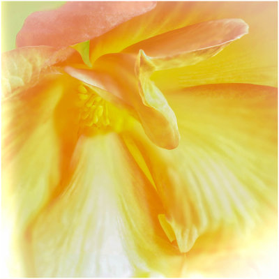 R_rw6__8_stack_flower_rwagoner.jpg