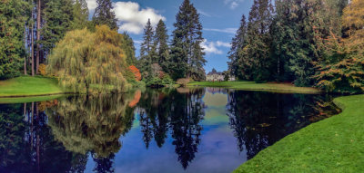 P_Bloedel_Pond_Fall_JohnMcKenzie.jpeg