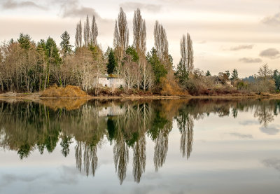 Reflection Eagle Harbor_Diane Hutchings.JPG