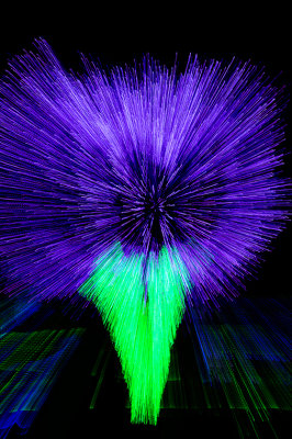 M_Explosion of Purple_Bob Rosenbladt.jpg