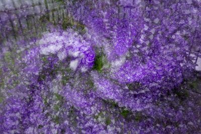 C_15 Purple Swirl_Bob Rosenbladt.jpg
