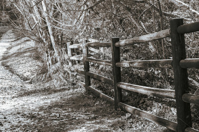 M_Beside a Country Road _Dorothy Rosenbladt.jpg