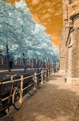 M_Delft_Transit_UsherL.jpg