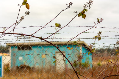 M_Fence 1 _Gina Stecher.jpg