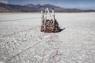M_Fence2_Jon DeArman.jpg