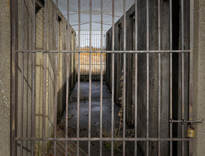 M_Fenced In_Sue DeArman.jpg