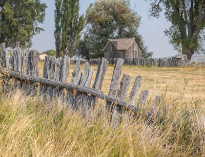 M_Old Homestead_Diane Hutchings.jpg