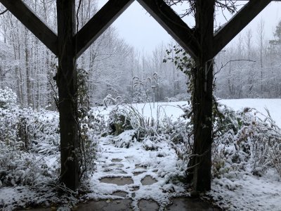 The first snowfall 