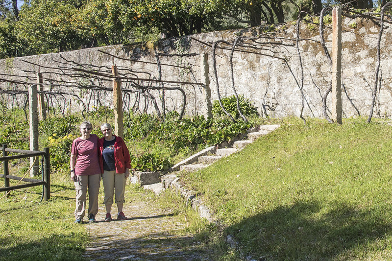 Grounds at Pao de Calheiros Inn