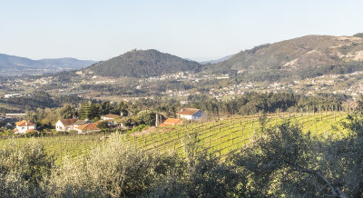 Estate vineyards of Pao de Calheiros Inn