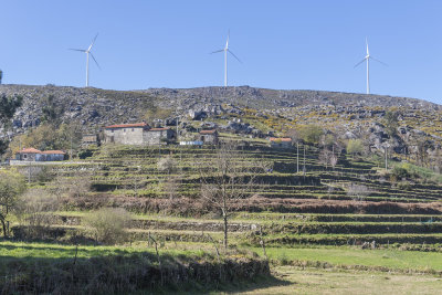 Terraces and vineyards of rga de Cima