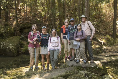 REI group in Portuguese forest