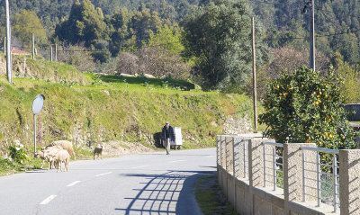 Rural road in northern Portugal