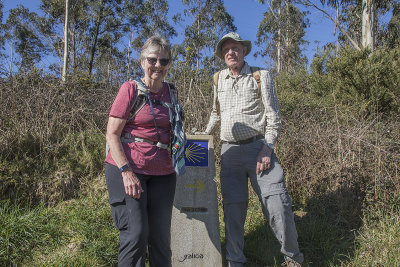 On the Camino trail