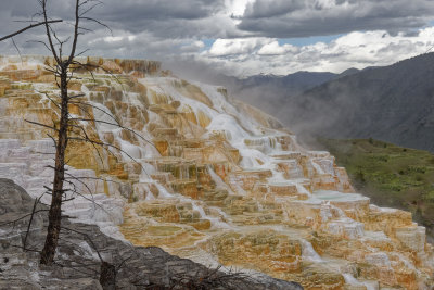 Canary Spring at Mammoth Hot Springs