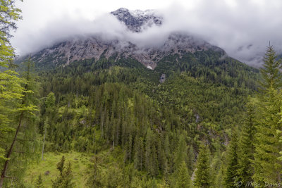 Tuxer Alps from the Swiss Scotch Pine Trail