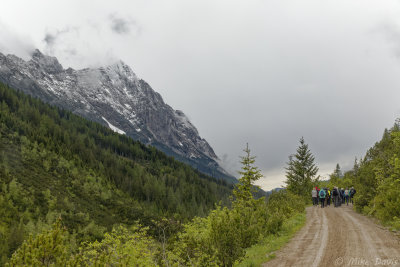 Tuxer Alps from the Swiss Scotch Pine Trail