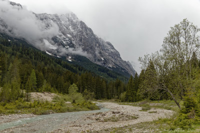 Tuxer Alps from the Swiss Scotch Pine Trail