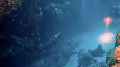 The Anchor