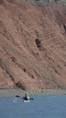 P9010023.jpg