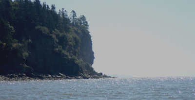 P8020001.jpg