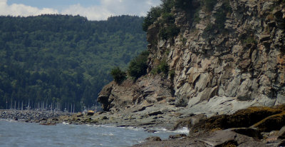P8020016.jpg
