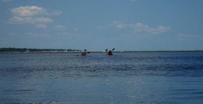 P8080020.jpg