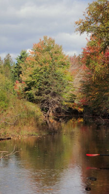 PA030038.jpg