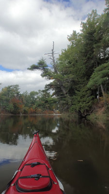 PA030063.jpg