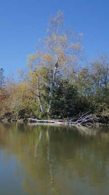 PA120008.jpg