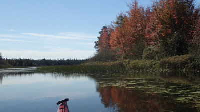 PA120016.jpg