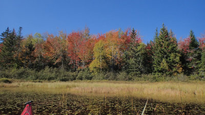 PA120020.jpg