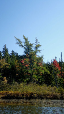 PA120033.jpg