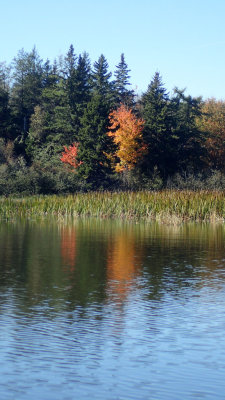 PA120035.jpg