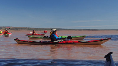 PA180015.jpg